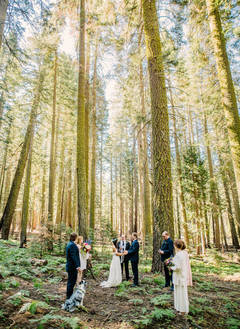 Сказочная летняя свадьба в Национальном парке в Калифорнии
